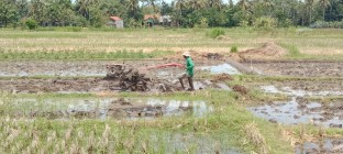 Bulan Puasa Petani Tetap Giat Bekerja…