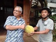 Patuk Banyak Durian Waow Keren…