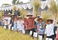 Kelompok Tani Mekar di Ngalian,…