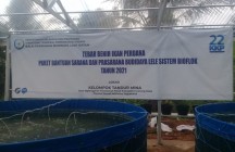 3 Ton Iklan Lele Masuk Gunungkidul…