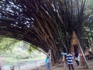 Wahana Wisata Pinggir Kali Bantul…