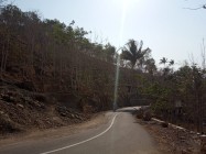 Rindu suasana desa asri pohon perindang…