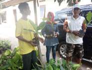 Kembangkan Tanaman Bibit Pisang…