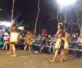 Kesenian kuda lumping masih eksis…