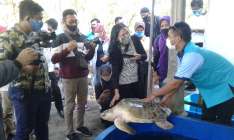 Pantai Gua Cemara, Berwisata Pantai…