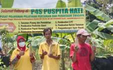 Lasiyo Saifudin Sidomulyo Bambanglipuro…