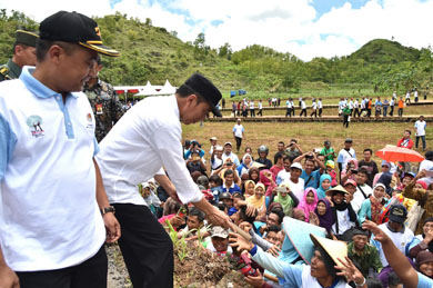 Presiden Minta Peringatan Hari Menanam Pohon Tak Sekedar Seremonial