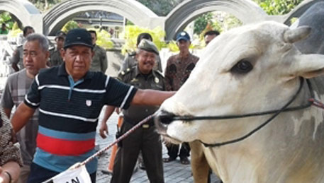 Begini Syarat Sahnya Hewan Qurban