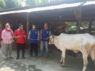 Kelompok Ternak Ngudirejo Pringwulung…