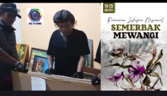 Persiapan Pameran Lukisan Semerbak…