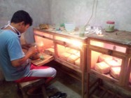 Breeding Burung Love Bird Di Tengah…