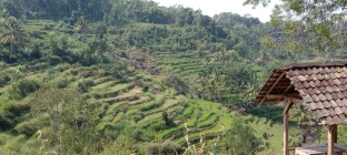 DESTINASI ALAM TERAS IRING KEDUNG…