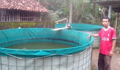 Inspiratif Dimasa Pandemi : Seorang…