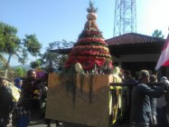 Upacara Adat Desa Ngalang Gedangsari…