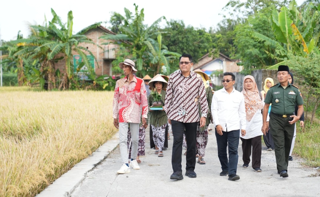 Ramadan 1445  H Wabup Sleman Hadiri Wiwitan Massal ‘Tradisi Wiwitan’ Terus Lestarikan
