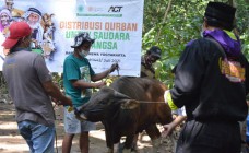 Warga Lereng Merapi Terima Hewan…