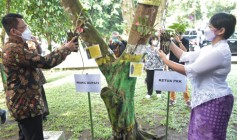 Perindah Area Taman Pemkab Sleman…