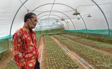 Inilah Potensi Pembibitan Bunga…