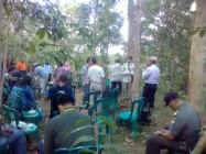 Apa Benar Kayu Sonokeling Dari…