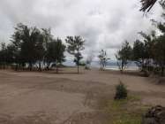 Destinasi barchan beach 'wisatawan…