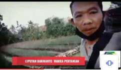 TRUKAN MULO GUNUNGKIDUL CENTRA…
