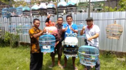 Arisan online dalam hobi perkutut…
