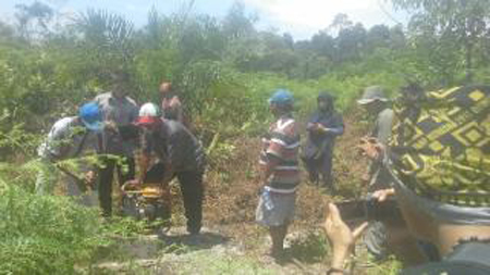 UNDP Berikan Workshop Pencegahan Hutan Bersama Journalis