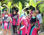 Mbah Lasiyo Tutorial Bibit Pohon…