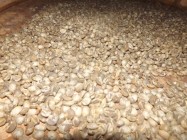 Inilah 3 Jenis Kopi Yang di Sukai…