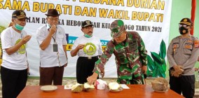 Live Heboh Buah Panen Durian Bersama…