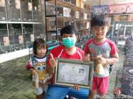 Masa Pandemi Breeding Burung Anggungan…
