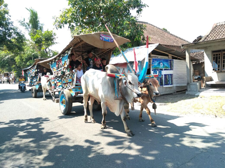 Kirab Gerobak  Sapi Meriahkan Festival  Candi  Kembar,Prambanan.