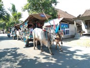 Kirab Gerobak Sapi Meriahkan Festival…