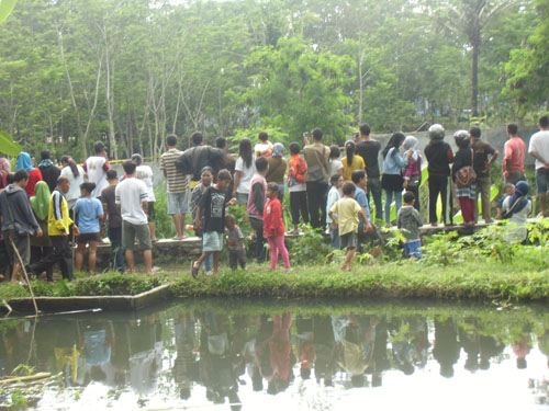 PESAWAT JATUH DUA PERWIRA TNI AU GUGUR DALAM ACARA  GEBYAR DIRGANTARA  2015