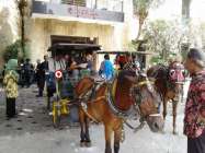 Para Jurnalis Dari Jeddah Arap…