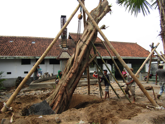 Hilangkan Kesan Angker Kuburan - Krematorium Di Tanami Pohon Bodi 