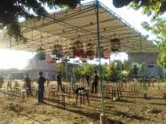 Lapak anyar tempat lomba burung…