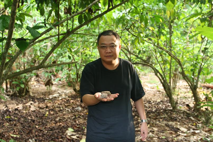 Minum Luwak Coffee Makin Yahut