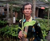 Mbah Lasiyo Aktif Sidomulyo Bantul…