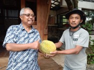PANEWU PATUK HARYO AMBAR SUWARDI…