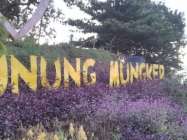 View Wisata Alam Gunung Mungker…