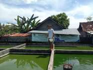 Manfaatkan Pekarangan Rumah Mantan…