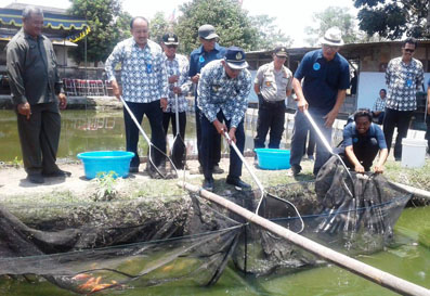 Bupati Sleman Panen Mina Ikan Bersama PWI DIY