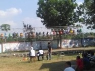 Hobi burung perkutut mendatangkan…