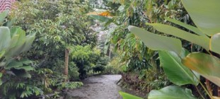 Puser Banjararum Kulon Progo Pusat…