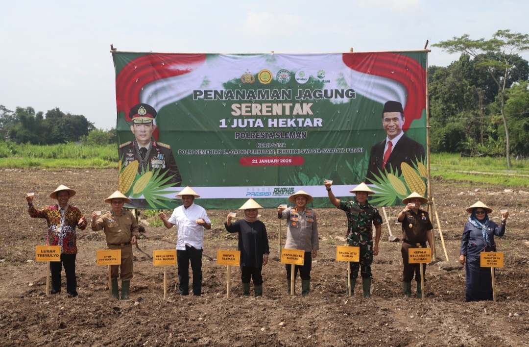 Dukung Swasembada Pangan Nasional, Bupati Sleman  Bersama Jajaran Forkopimda Sleman Tanam Jagung di Trimulyo