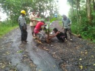 Jalan Rusak Parah Warga Semoyo…