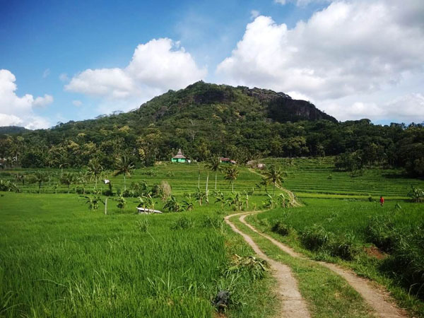 Kawasan Tawang Desa Ngoro-Oro Gunungkidul Spot Wisata Alamnya Kini Viral Dimedia 