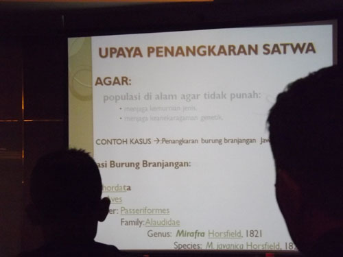 Inilah Data Tumbuhan Dan Satwa Liar (TSL) Yang di Lindungi Pemerintah RI