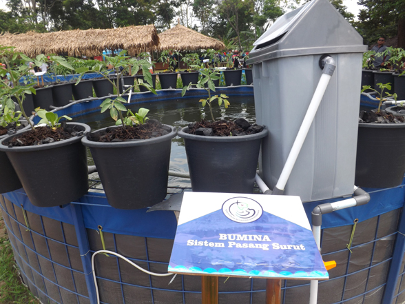 Teknologi Yumina Bumina Solusi Atasi Lahan Sempit